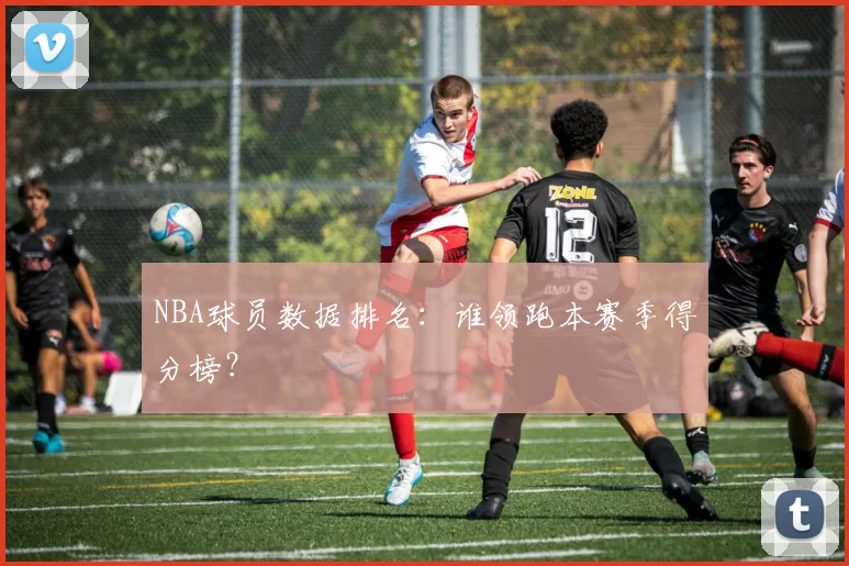 NBA球员数据排名：谁领跑本赛季得分榜？
